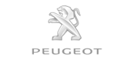 Peugeot – Prestations nettoyage professionnel Avranches, Granville, Saint-Lo